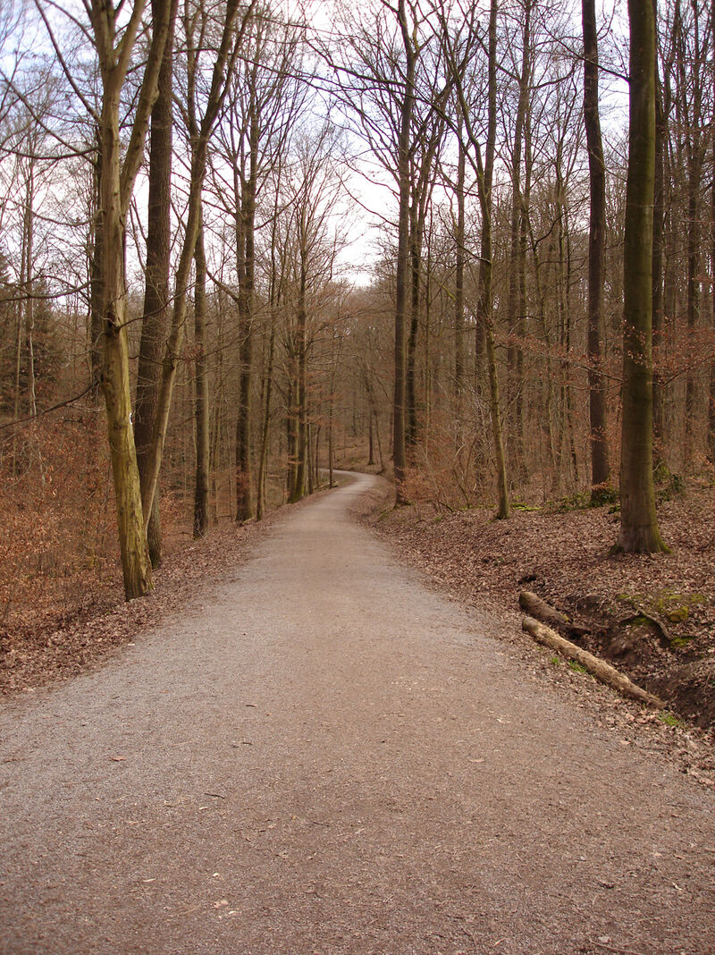 Untitled (pathway below), 2007